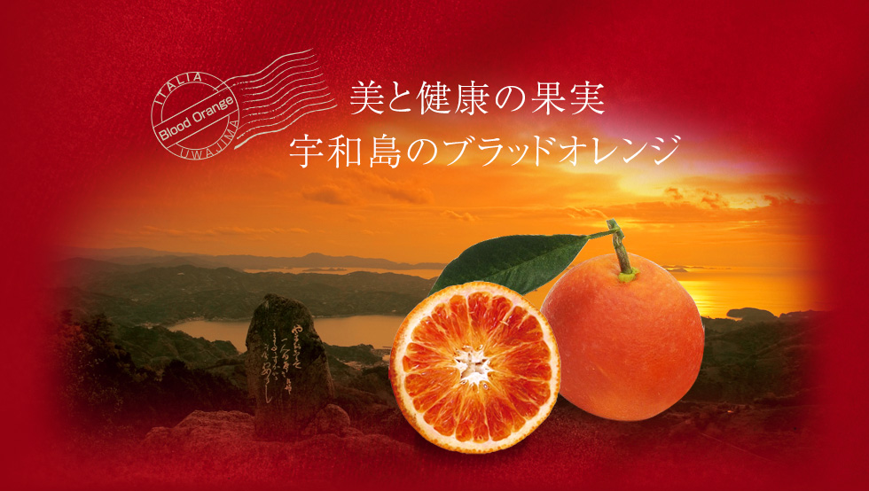 美と健康の果実　宇和島のブラッドオレンジ